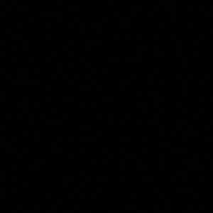 Meet your Posher, Kamilah